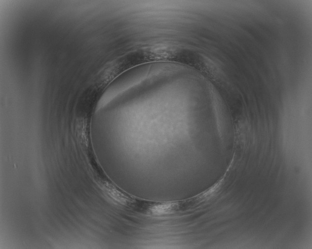 X0000060570178200511031319