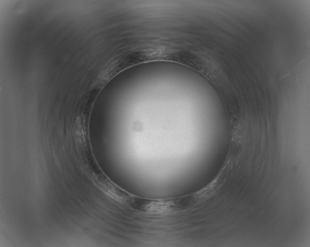 X0000060570179200511031319