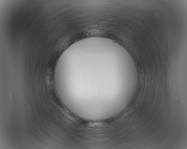 X0000060570181200511031319
