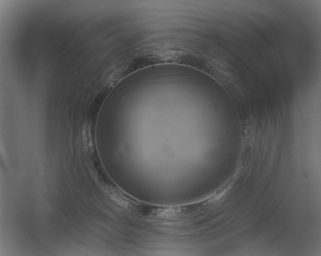 X0000060570182200511031319
