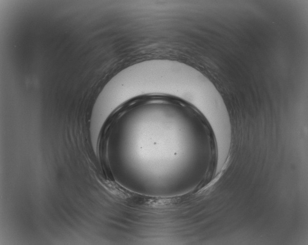 X0000060570186200511031319