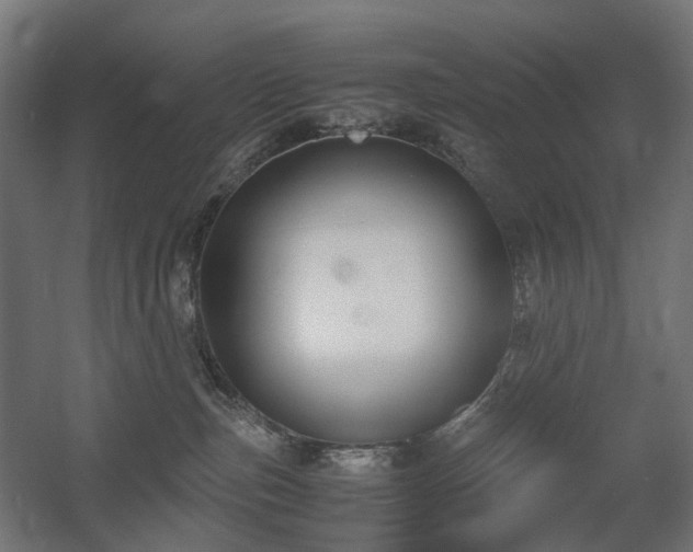 X0000060570187200511031319