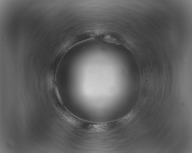 X0000060570188200511031319