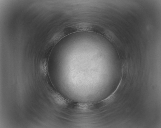 X0000060570190200511031319