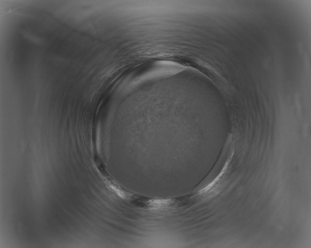 X0000060570192200511031319