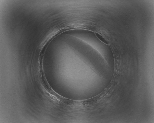 X0000060570194200511031318