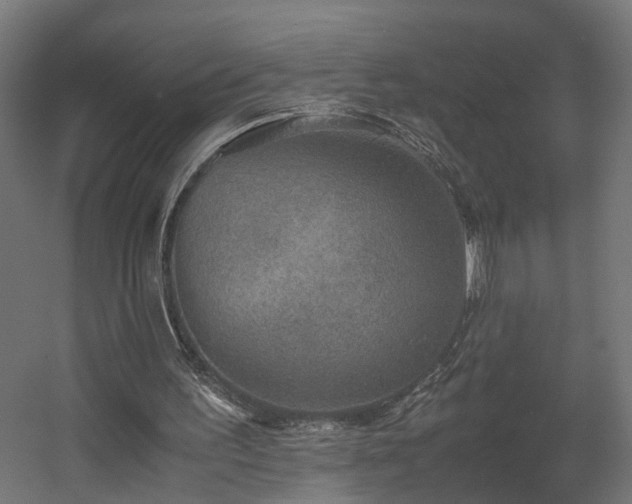X0000060570195200511031318