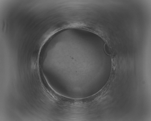 X0000060570196200511031318