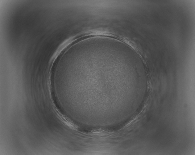 X0000060570199200511031318