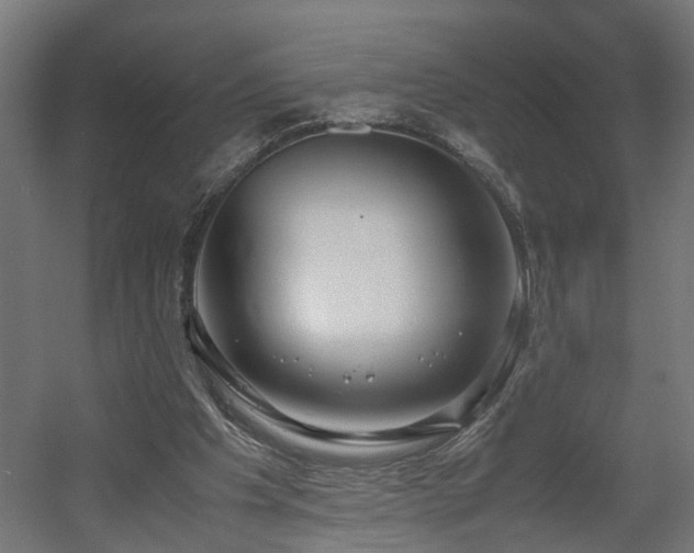 X0000060570201200511031318