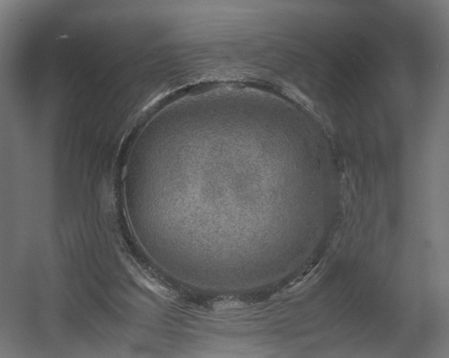 X0000060570203200511031318