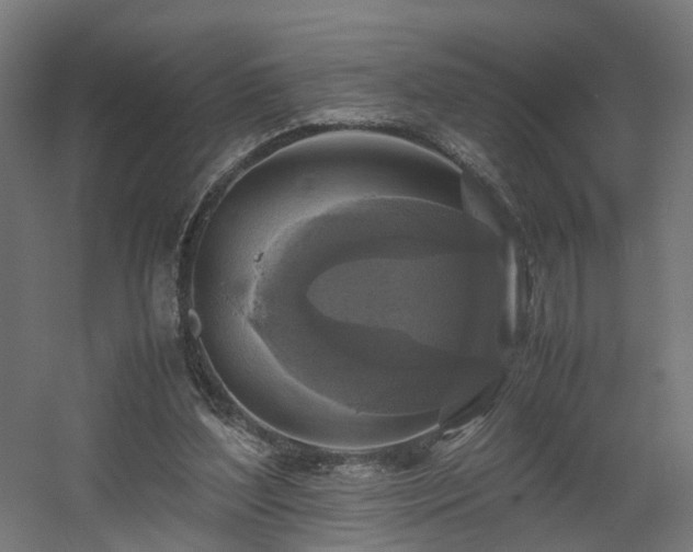 X0000060570204200511031318