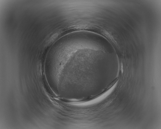 X0000060570205200511031318