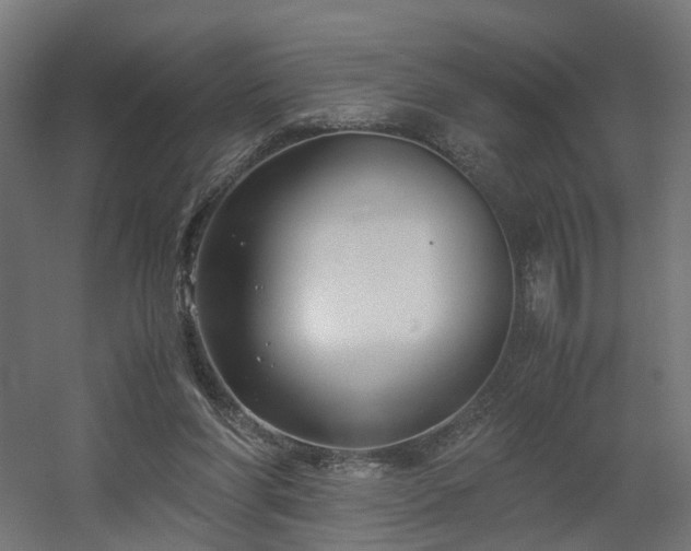 X0000060570206200511031318