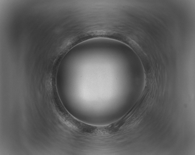 X0000060570207200511031318