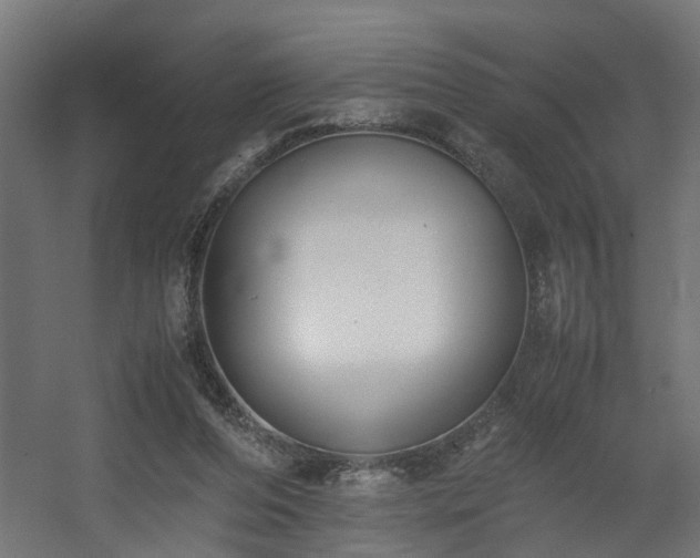 X0000060570208200511031318