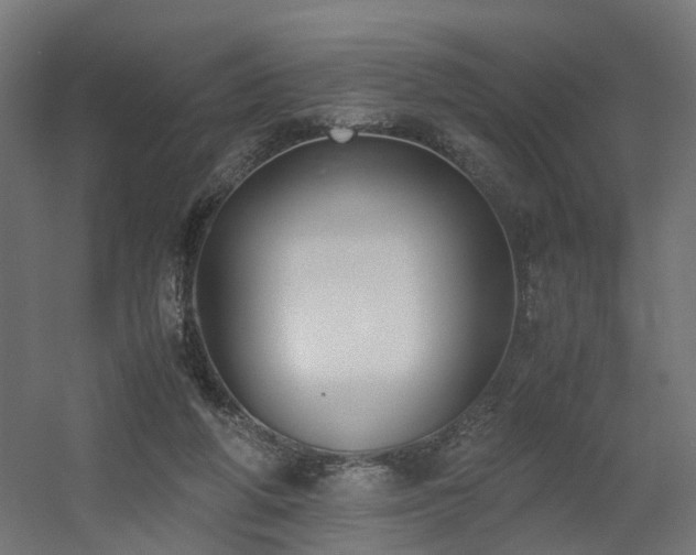 X0000060570210200511031318