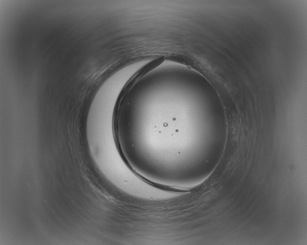 X0000060570211200511031318