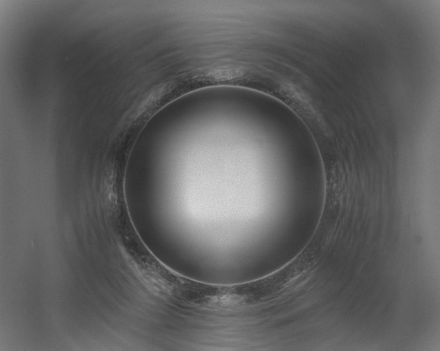 X0000060570212200511031318