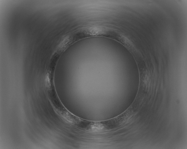 X0000060570214200511031318