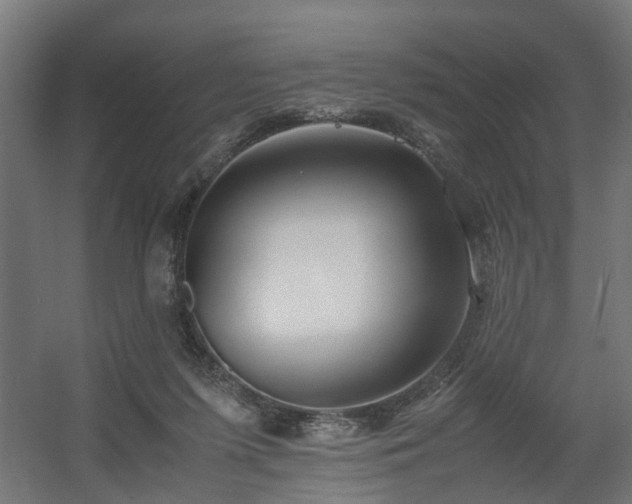 X0000060570215200511031318