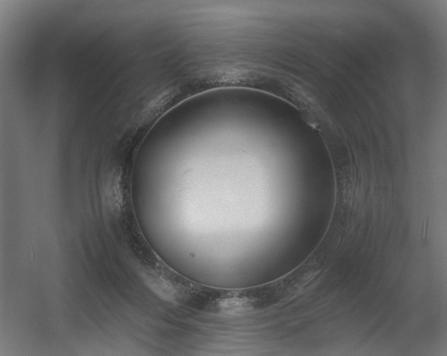 X0000060570216200511031318