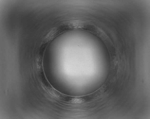 X0000060570218200511031318