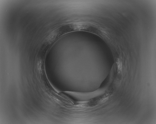 X0000060570219200511031318