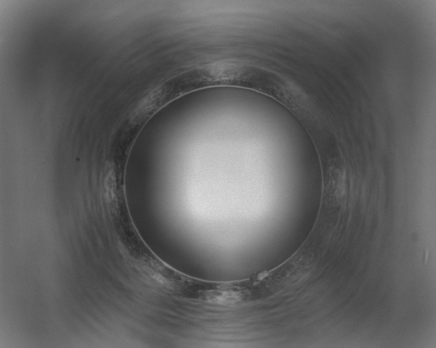 X0000060570220200511031318