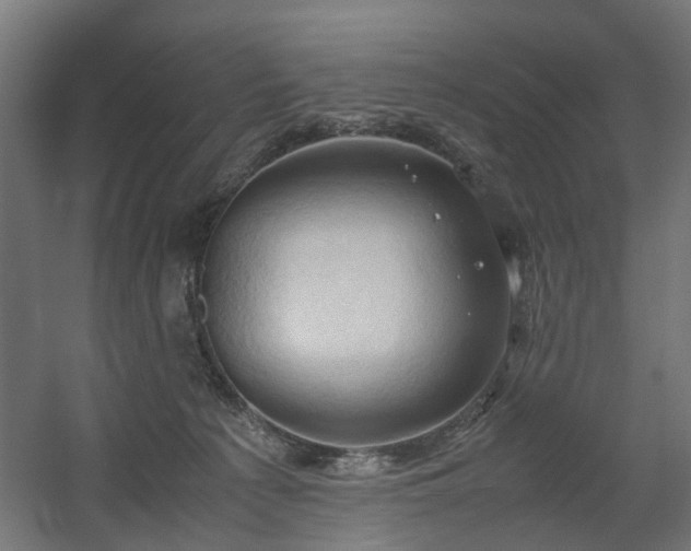 X0000060570225200511031318
