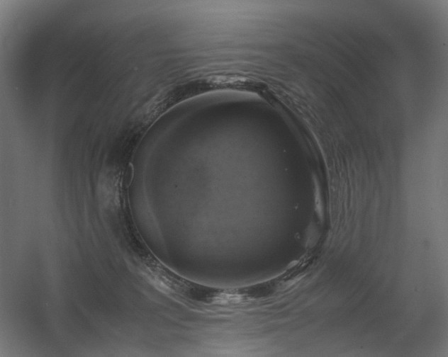 X0000060570227200511031318