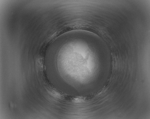 X0000060570232200511031318