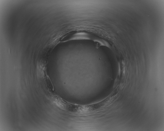 X0000060570235200511031317