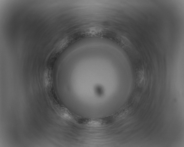 X0000060570236200511031317