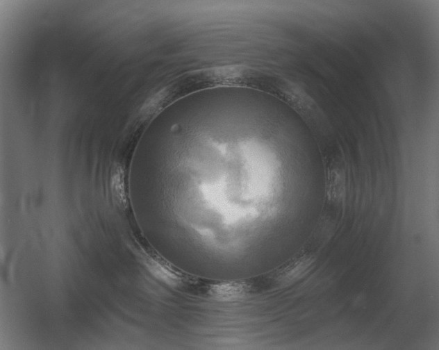 X0000060570238200511031317