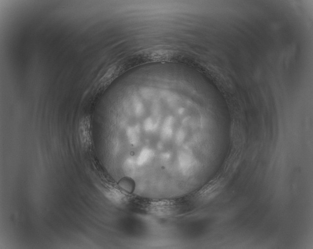 X0000060570240200511031317