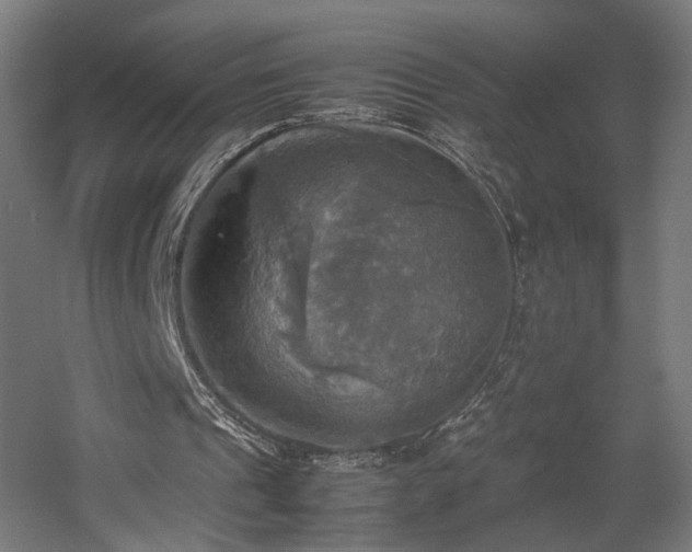 X0000060570241200511031317