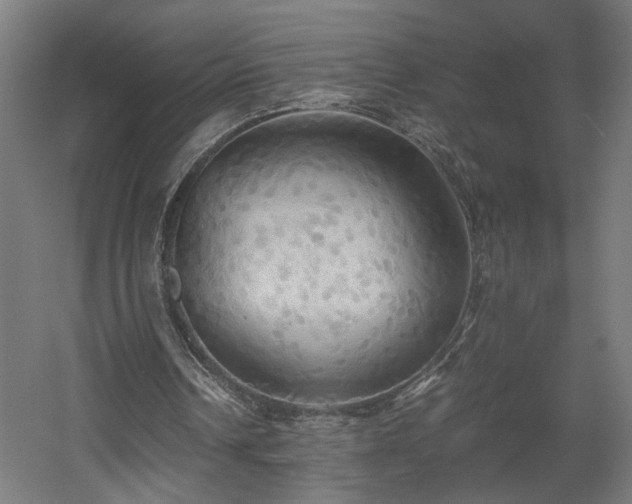 X0000060570242200511031317