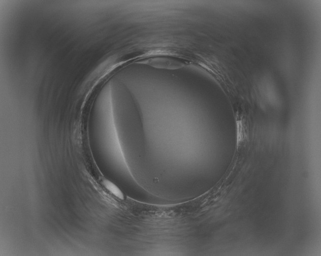 X0000060570243200511031317