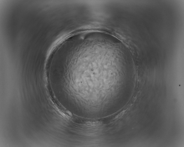 X0000060570245200511031317