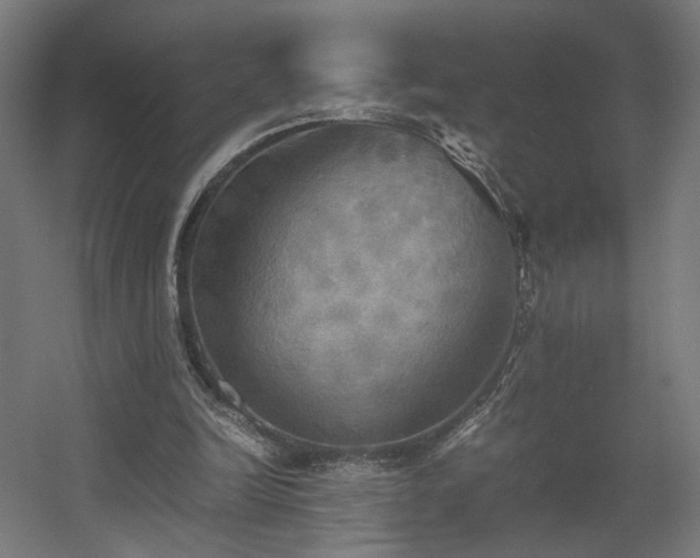 X0000060570246200511031317