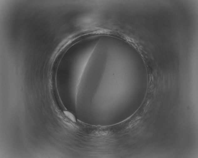 X0000060570247200511031317