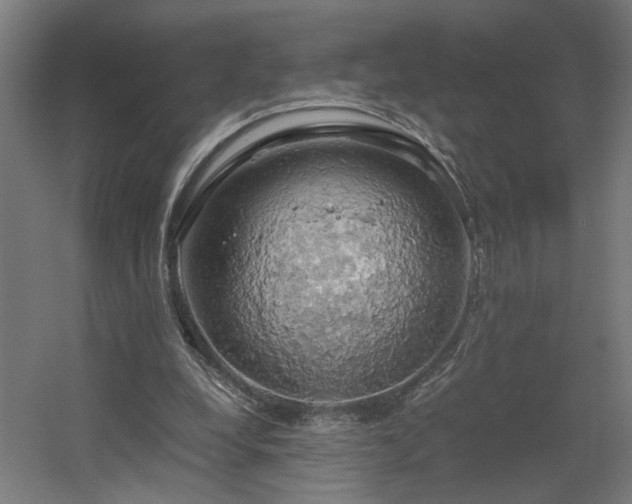 X0000060570248200511031317
