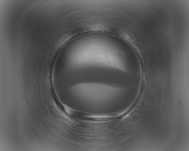 X0000060570249200511031317