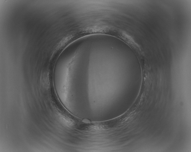 X0000060570250200511031317