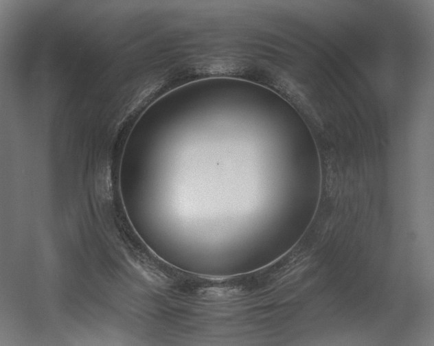 X0000060570251200511031317