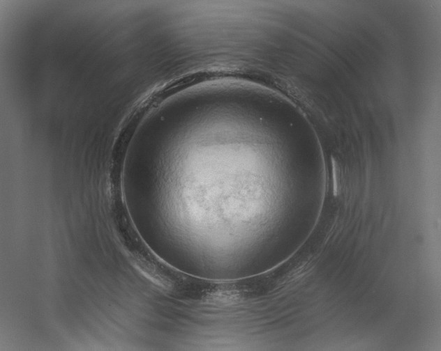 X0000060570252200511031317