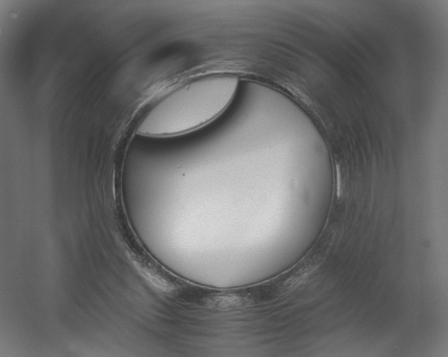 X0000060570253200511031317
