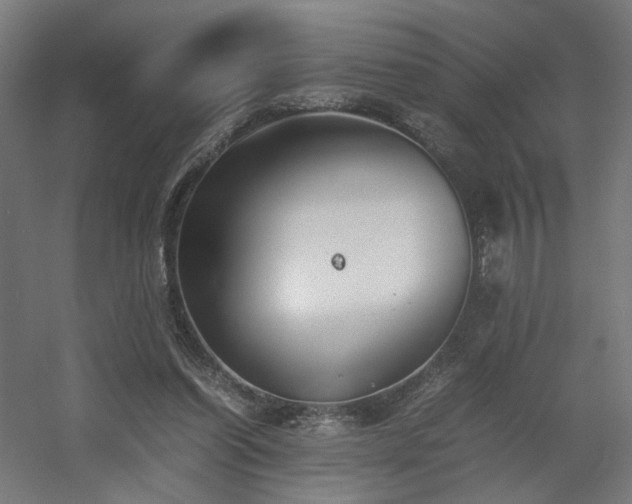 X0000060570254200511031317