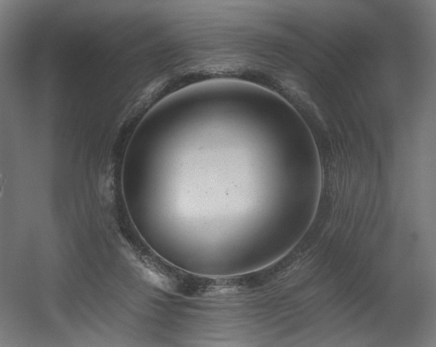 X0000060570260200511031317